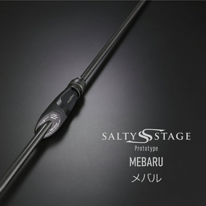 楽天市場】 アブガルシア(Abu Garcia) ソルティステージプロトタイプ 