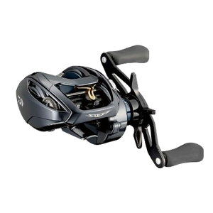 _C(Daiwa) STEEZ A TW HLC 8.1L nh 00630236