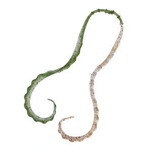 ܂(Gamakatsu)  3D \tglN^C #25 NAO[×NAS[h 19315-25-0