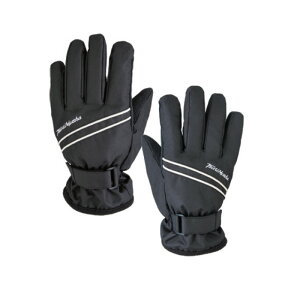 ޕ [jO HOT O[u t[ G01500