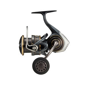 _C(Daiwa) 22 CALDIA(JfBA) SW 4000-CXH 00065048