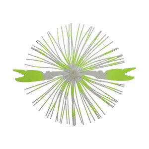 nuT(Hayabusa) W Jjo #12 CG[zCg HR215