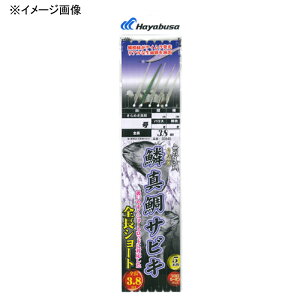 nuT(Hayabusa) ؐ^ SV[g؃PCTo&5{ b6/nX2.5 SD845