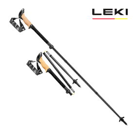 LEKI(レキ) BLACK SERIES FX CARBON(ブラックシリーズ FX カーボン) 110～130cm 190(ブラック) 1300445