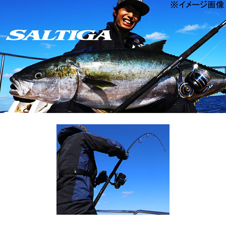 楽天市場】 ダイワ(Daiwa) SALTIGA(ソルティガ) AP C86-8(ベイト・3 
