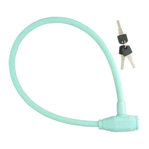 キャプテンスタッグ(CAPTAIN STAG) ワイヤー錠60D 12mm マットスカイ Y-4289