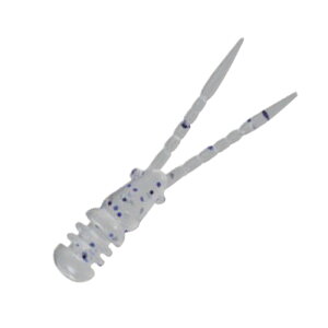 �y5/23-27�̓G���g���[�őS�i5�{�z �f���I(DUO) �e�g�����[�N�X �`�r�o�[�j�[ 34mm S504 �C���V����