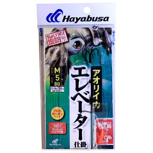 nuT(Hayabusa) 傢}Wh Ԃ AICJ EVd| b8/nX5 HD305