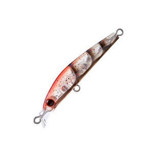 Aqua Wave(�A�N�A�E�F�[�u) �V�����[�}�W�b�N 50mm #A114 ���V�������v