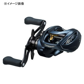 ダイワ(Daiwa) STEEZ AII TW 1000L(スティーズA2TW)左 00613383