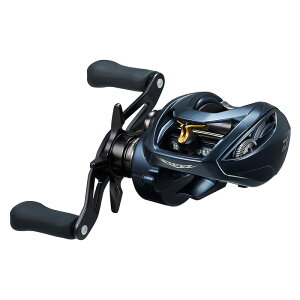 _C(Daiwa) STEEZ AII TW 1000XH(XeB[YA2TW) Enh 00613386