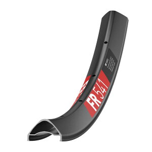 DT SWISS(DT XCX) FR541 29C` RIM05901