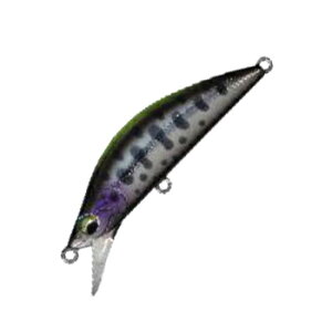 W[Ntg t@Ce[ Gf H 50mm #016 CMmN[} EDN-50H