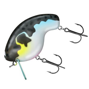 _C(Daiwa) ӂ 80mm gtO 07435013