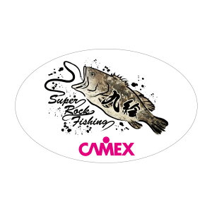 ޕ CAMEXNGXebJ[ L zCg X07302