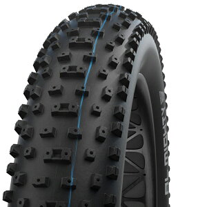 SCHWALBE(Vx) yKizI[}CeB MTBp t@bgoCN TCN/] 26×4.80 ubN(ETRTO:120-559) SW-11654264