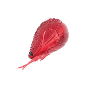 GEECRACK(W[NbN) CVʃX[ 80g #003 ԊCV