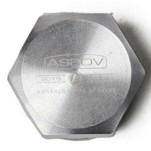 AS2OV(Ab\u) CB CAN CAP CB Lbv SILVER 282207-95
