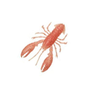 One Knack(ibN) frN[[ 4C` q DC-24-SB