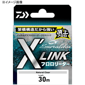 ダイワ(Daiwa) エメラルダス フロロリーダー X'LINK 30m 2-30 ナチュラル 07303983