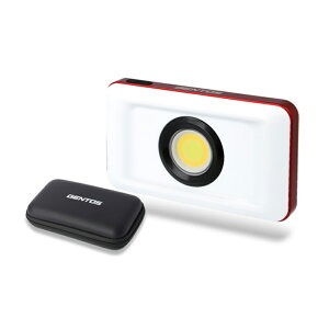 GENTOS(�W�F���g�X) Ganz ������V���[�Y GZ-316 �ő�1200���[���� �[�d�� GZ-316