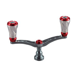 u(LIVRE) ECO98 (f) V}mS2p K^+bh WDA98-FS2-GMR