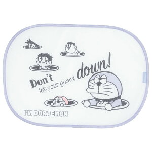 XP[^[(skater) \tTVF[h 460×320mm ACh CHSS1