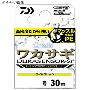 _C(Daiwa) NXeBA JTMfZT[+Si3 30m 0.3 CO[ 07302303