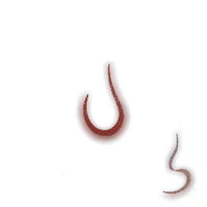 y12/1 ő2,000~OFFN[|&SiP2z LEVEL6(xN) c[glN^C n[tJ[[ A~Gr