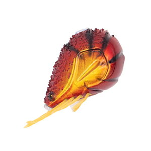 GEECRACK(W[NbN) CVʃX[ 150g #002 bhS[hGr