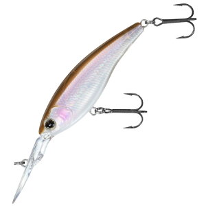 _C(Daiwa) XeB[Y TCgVbh SP MR 60mm NAAfJTM 07435407