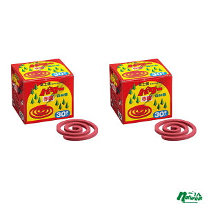 ʌZ폤(R_}) y2Zbgzp[Xэ(ԐF)30 1107