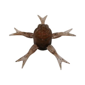 WbJ(JACKALL) W~[wW 42mm KTKTeiKGr