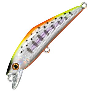 X~X(SMITH LTD) D-R^Ng 50mm 54 WSCWP[^[