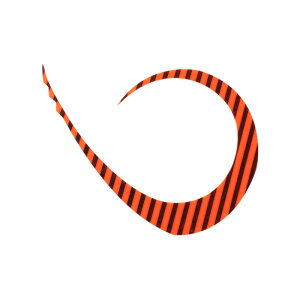 WbJ(JACKALL) rrT+lN^C }X^[J[[XgO F-0325 uCgIW[u