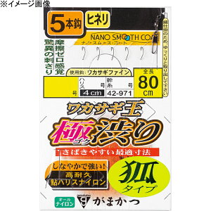 ܂(Gamakatsu) JTMd|(ɏa)5{ b1/0.15 42-971