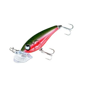 13-15͑Si+P5 RUDIE'S([fB[Y) oOoO`k 50mm T}[XCJ