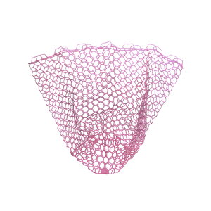 vbNX(PROX) po[fBOlbg 19^60cm sN PX89419P60