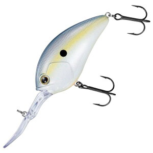 y12/1 ő2,000~OFFN[|&SiP2z _C(Daiwa) 24 XeB[YNN 500 75mm ZNV[Vbh 07436876