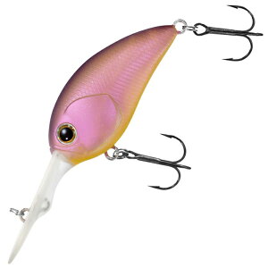 y12/5 ő2,000~OFFz _C(Daiwa) 23 XeB[YNN 200 50mm i΃KChXyV 07436835