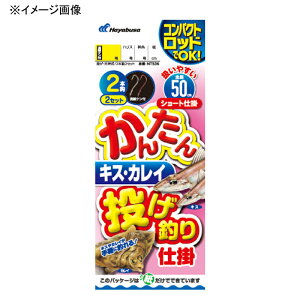 nuT(Hayabusa) 񂽂 LXEJC ނd| 2{b b12/nX3 NT536