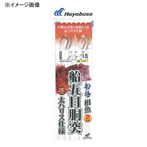 nuT(Hayabusa) Dɍܖ nX 2{b2Zbg b13/nX10  SD770