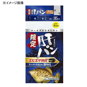 y12/5 ő2,000~OFFz D(ZVE)  ̃p GrGTΉ S2TCY