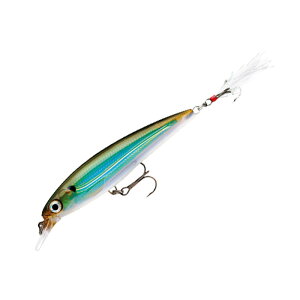 Rapala(���p��) XR8 X-RAP 80mm MBS(���X�o�b�N�V���C�i�[) XR8