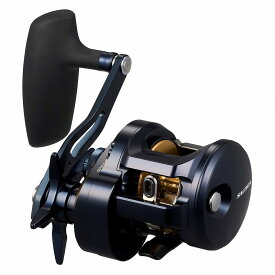 ダイワ(Daiwa) 25ソルティガ 300 右ハンドル 300 00631554