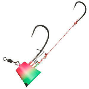 _C(Daiwa) g^CeSS TB| 6 ~ 07355692