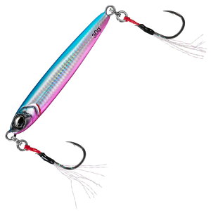 _C(Daiwa) TCWOR X[tH[ 30g us 07468385