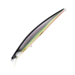�f���I(DUO) �S�� ���e SLIM(�I�j�}�X�}�T�J�Q �X����) 120F 120mm ASA4532 ����