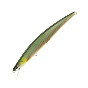 �f���I(DUO) �S�� ���e SLIM(�I�j�}�X�}�T�J�Q �X����) 120F 120mm AVA4531 �G����