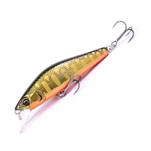 �y�X���|�C���g�ő�+28�{�z �����G �A�N�Z�X S 50mm D2 �N���L�����}�� 677